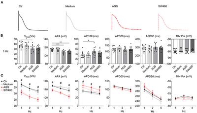 Regulation of Ion Channel Function in Human-Induced Pluripotent Stem Cell-Derived Cardiomyocytes by Cancer Cell Secretion Through DNA Methylation